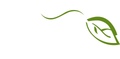 Jastrem Premium Landscapes Chester County Landscaping Service