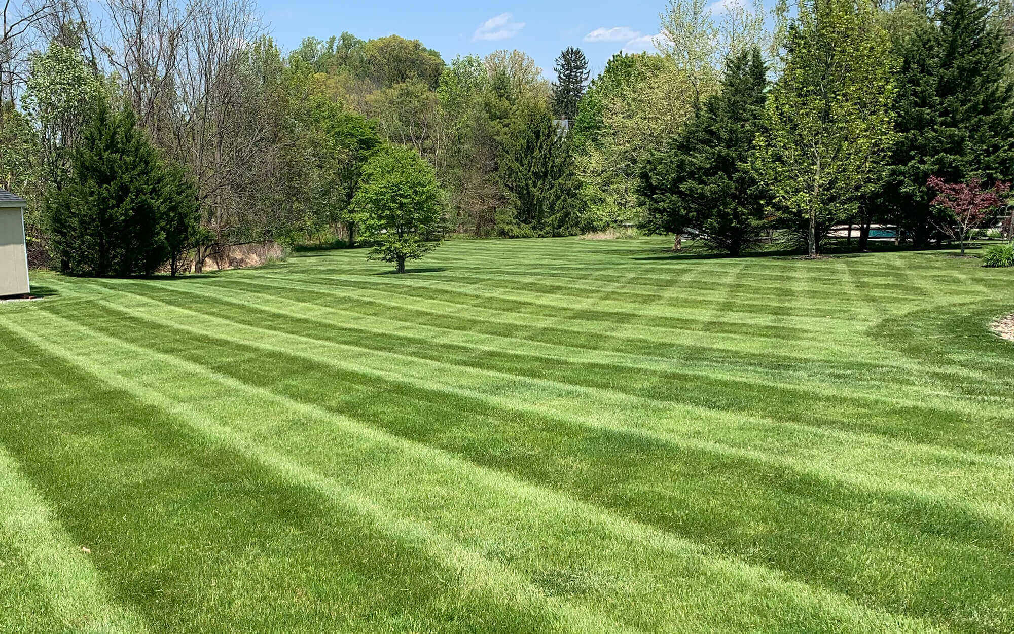 Lawn Turf Care Chester County
